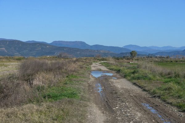 Μεσολόγγι: «Ψάχνουν για χρυσές λίρες» – Τι λέει ο φίλος του κρεοπώλη για την υπόθεση αρχαιοκαπηλίας