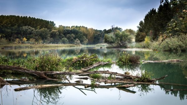 Τέξας: 11χρονη βρέθηκε νεκρή σε ποτάμι – Αγνοούνταν για μια εβδομάδα