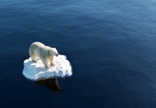 Κλιματική αλλαγή: O πάγος υποχωρεί, οι πολικές κινδυνεύουν από ασιτία