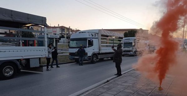 Φρένο στις ελληνοποιήσεις ζητούν οι μελισσοκόμοι Χαλκιδικής – «Μας οδηγούν στον αφανισμό»