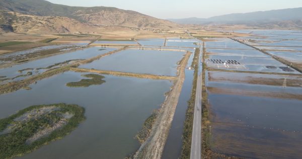 Τρία «φάρμακα» για τον θεσσαλικό κάμπο