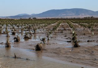 Αυγενάκης: Διορθωτικές προκαταβολές του ΕΛΓΑ σε πληγέντες αγρότες της Θεσσαλίας