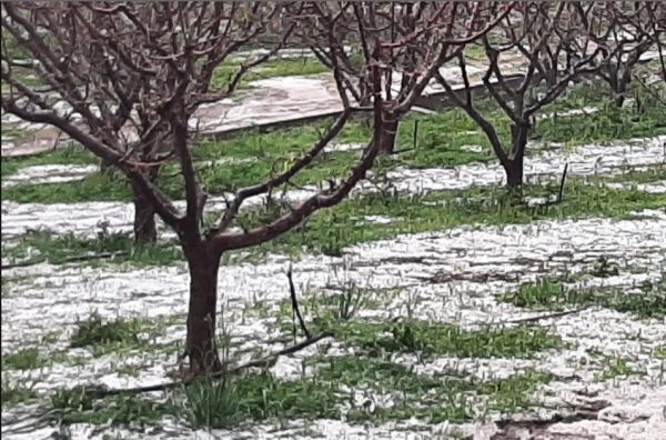 Ναύπλιο: Ζημιές από ισχυρή χαλαζόπτωση το μεσημέρι της Αποκριάς στα Πυργιώτικα