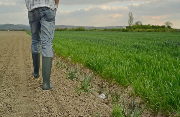 ΟΠΕΚΕΠΕ: Παραμένει ανοιχτό το σύστημα για τροποποιητικές στο ΟΣΔΕ