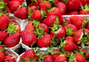 Ισπανία: Ανιχνεύτηκε ηπατίτιδα Α σε φράουλες από το Μαρόκο