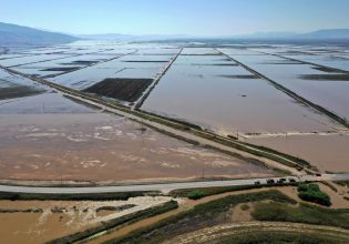 Αγρότες στη Θεσσαλία: «Δεν έχουμε λάβει ούτε 1 ευρώ με 100% ζημιές» – Oργή κατά της κυβέρνησης