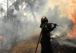 Φωτιά στο όρος Μαυροβούνι στη Λάρισα – Επί τόπου ισχυρές δυνάμεις της Πυροσβεστικής