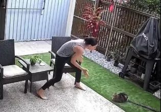 Αυστραλία: Τρομακτικό βίντεο – Πύθωνας αρπάζει γάτα από αυλή σπιτιού