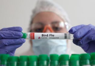 Γρίπη των πτηνών: «Τεράστια ανησυχία» ΠΟΥ για κίνδυνο εξάπλωσή της στους ανθρώπους