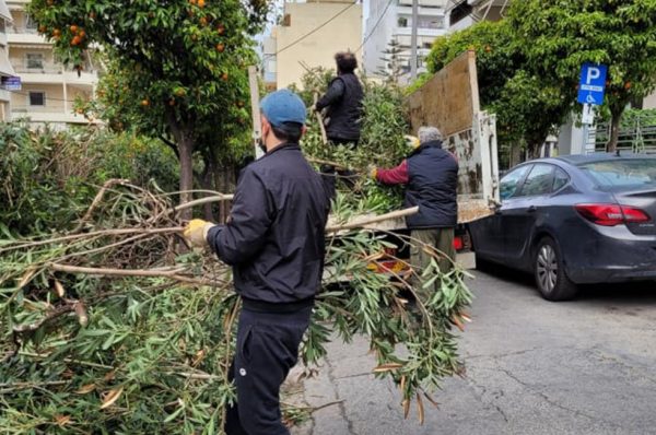 Κίνημα για να σωθούν τα δέντρα στις πόλεις