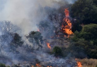 Κατερίνη: Μαίνεται η φωτιά σε δύσβατη περιοχή στα Πιέρια Όρη – Ολονύχτια μάχη με τις φλόγες