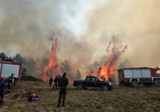 Πιέρια Όρη: Πολύ καλύτερη η εικόνα της φωτιάς – Μικρή η καταστροφή, αναφέρει ο δασάρχης Πιερίας στο in