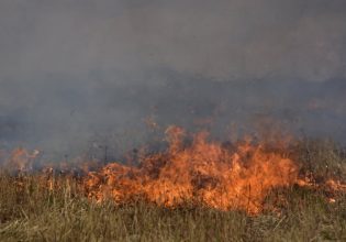 Πυρκαγιές: Βραδυφλεγής βόμβα τα ξερόχορτα και τα ακαθάριστα οικόπεδα – Αυτοψία στην Αττική