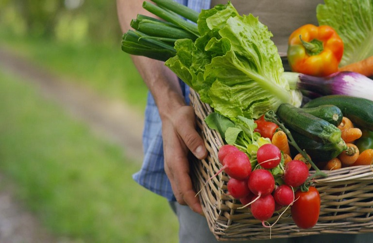 EFSA: Υπάρχουν υπολείμματα φυτοφαρμάκων στα τρόφιμα; - Τι έδειξαν τα στοιχεία
