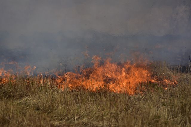 Μεσσηνία: Πλήρωσε ακριβά το κάψιμο ξερών χόρτων παρά την απαγόρευση - Φυλακή και βαρύ πρόστιμο