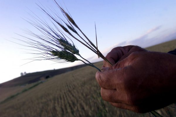 Η διψασμένη Σικελία στη «μέγγενη» της κλιματικής κρίσης