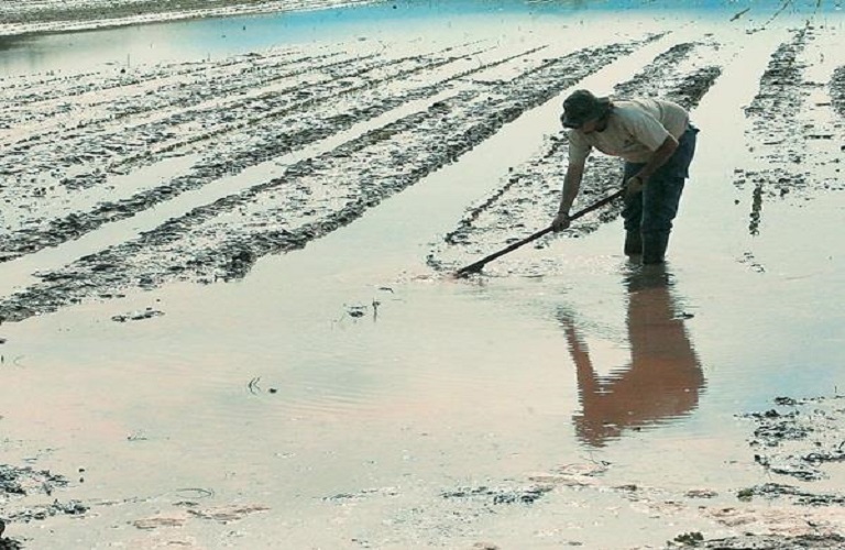 ΕΕ: Πώς οι αγρότες δεν θα χάσουν επιδοτήσεις σε περιπτώσεις έκτακτων καιρικών συνθηκών