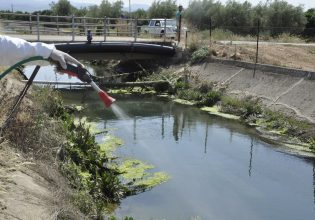 Δάγκειος πυρετός: Ανήσυχος ο Σωτήρης Τσιόδρας για την έξαρση κρουσμάτων