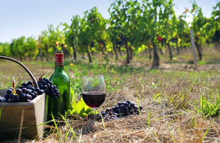 Κρασί: Το «προφίλ» των ΠΟΠ Γουμένισσα - Τα ιδιαίτερα χαρακτηριστικά