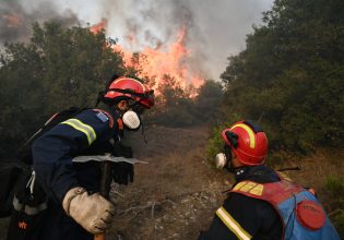 Φωτιά σε Τζουμέρκα και Πιερία – Επιχειρούν εναέρια