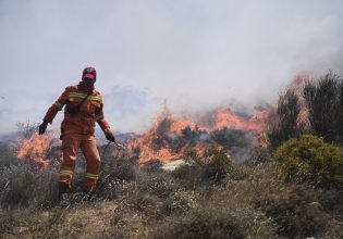Φωτιά: Συναγερμός για πολύ υψηλό κίνδυνο πυρκαγιάς σήμερα λόγω θυελλωδών ανέμων – Στο «πορτοκαλί» έξι περιοχές