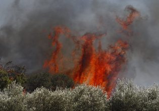 Φωτιά στη Λαμία: Ανεξέλεγκτες οι φλόγες στην Καμηλόβρυση – Στην «μάχη» έξι εναέρια μέσα