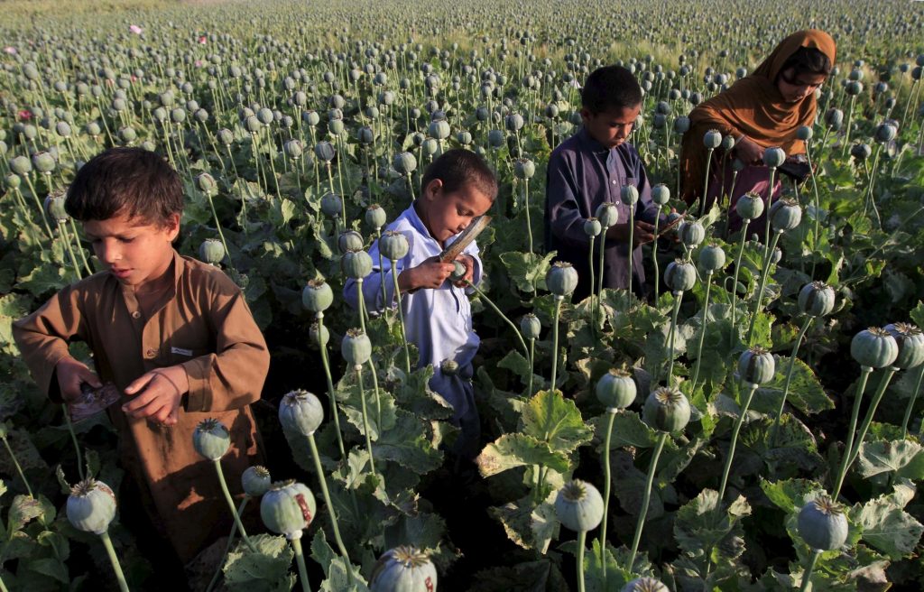 Πώς η πολιτική των Ταλιμπάν μπορεί να αυξήσει τους θανάτους από ναρκωτικά σε όλο τον κόσμο
