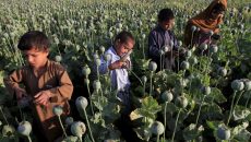 Πώς η πολιτική των Ταλιμπάν μπορεί να αυξήσει τους θανάτους από ναρκωτικά σε όλο τον κόσμο