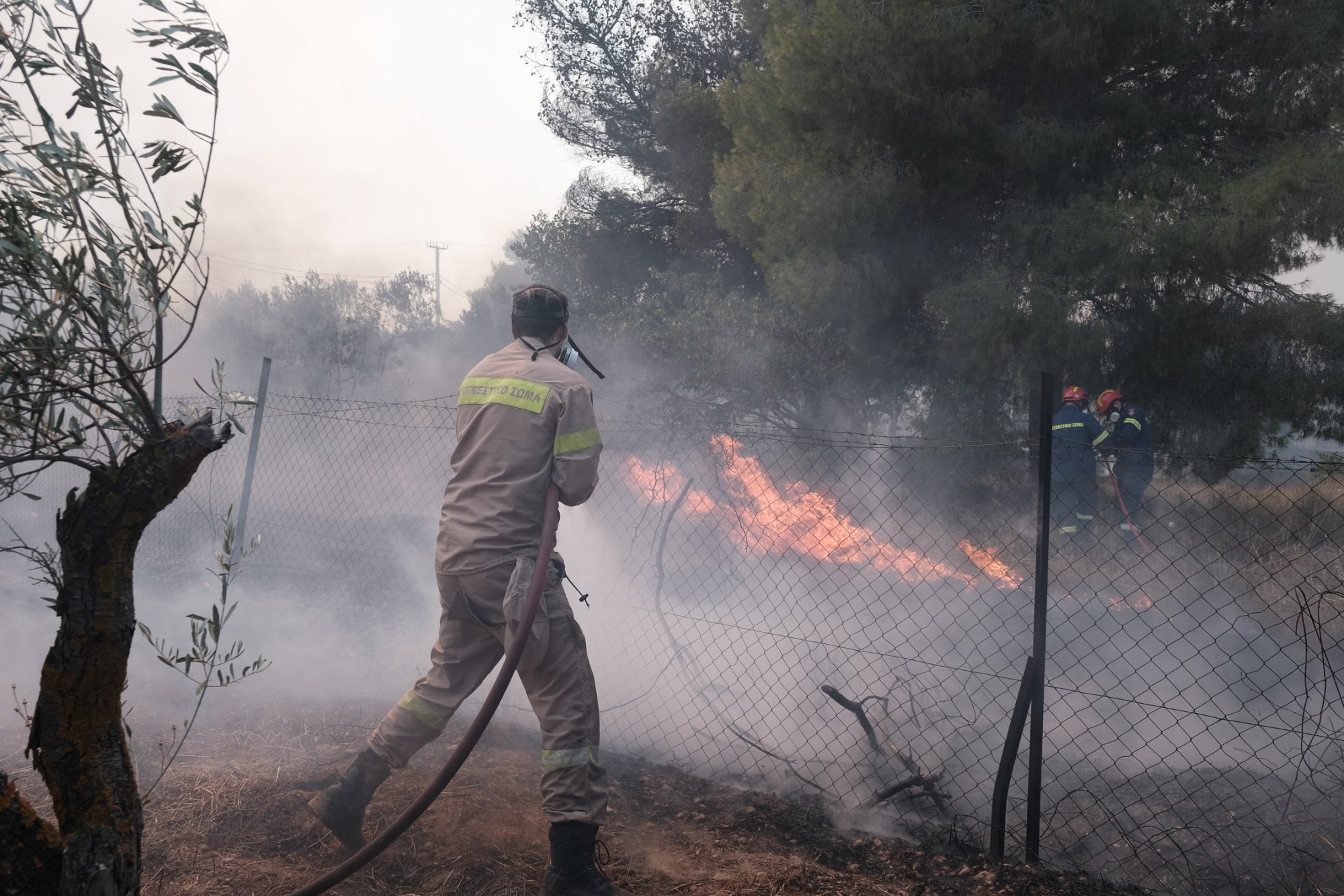 Φωτιά στη Σάμαρη Ευβοίας – Προειδοποιητικό μήνυμα του 112 στους κατοίκους