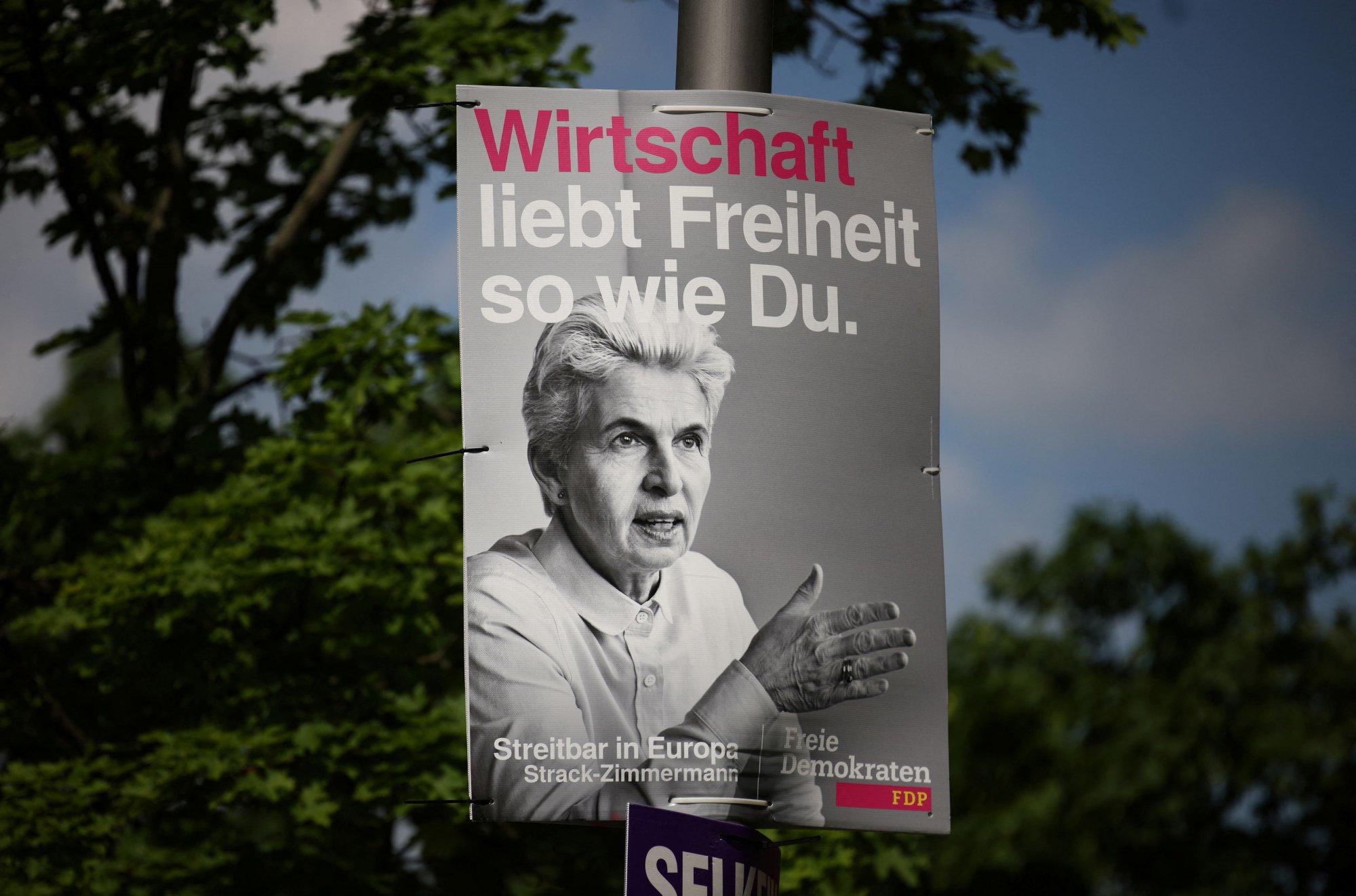 Ευρωεκλογές 2024: Πρόσωπο της γερμανικής κάλπης η «γιαγιά που εκνευρίζει»