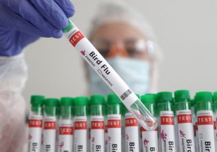 Γρίπη των πτηνών: Η Φινλανδία πρώτη χώρα που θα εμβολιάσει προληπτικά ανθρώπους