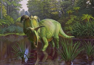 Νέο είδος δεινόσαυρου ήταν σαν διασταύρωση ρινόκερου με παπαγάλο