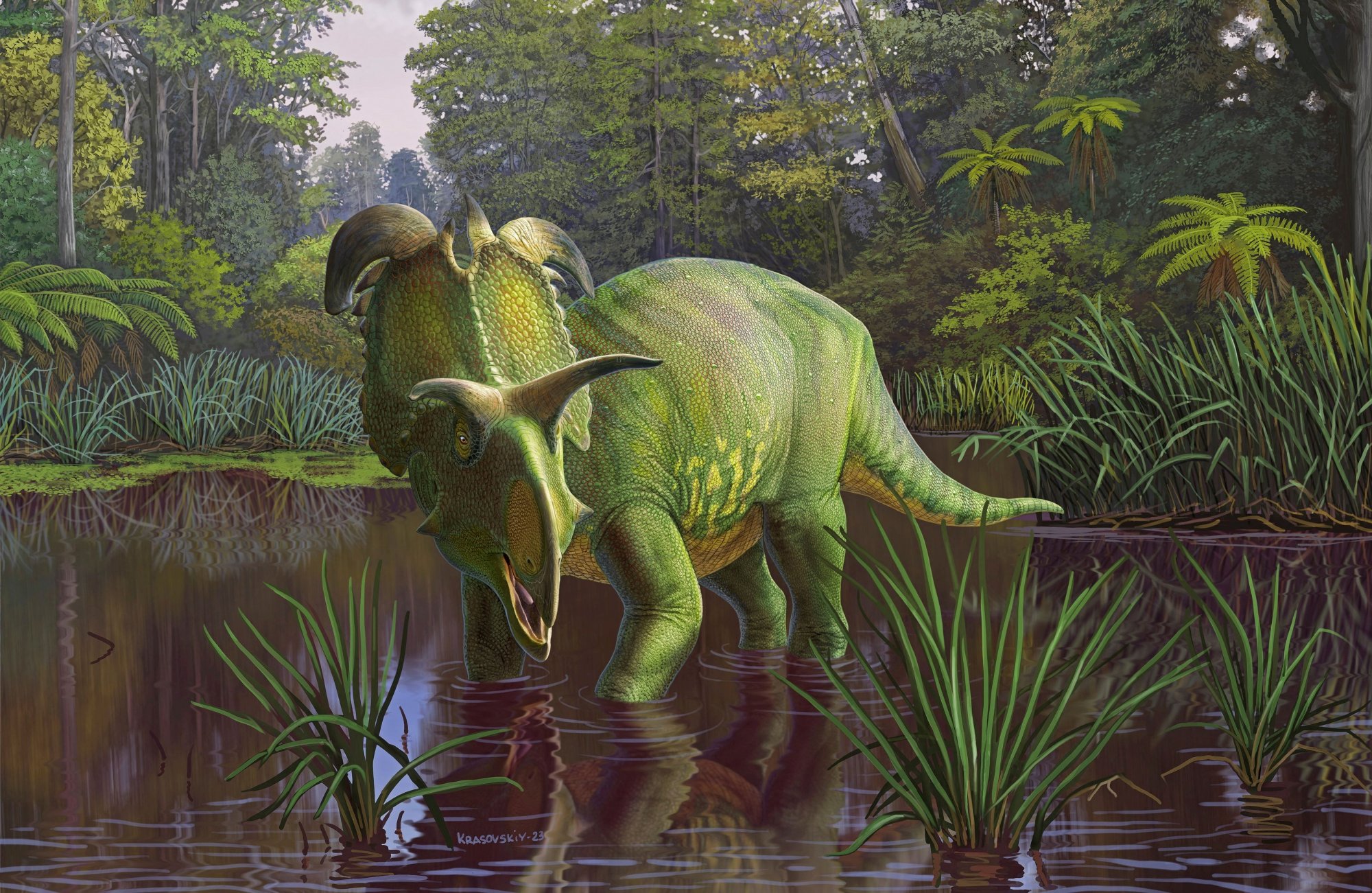 Νέο είδος δεινόσαυρου ήταν σαν διασταύρωση ρινόκερου με παπαγάλο