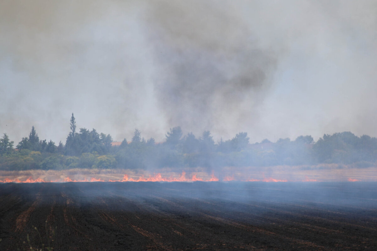 Συναγερμός για πυρκαγιά και στη Λάρισα – Εκταταμένη επιχείρηση της πυροσβεστικής