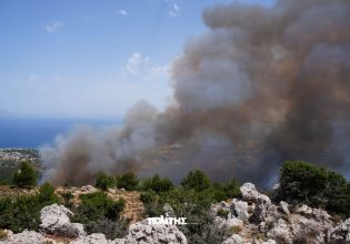 Χίος: Χωρίς ενεργό μέτωπο η φωτιά στην περιοχή των Ρεστών – Παραμένουν ισχυρές πυροσβεστικές δυνάμεις