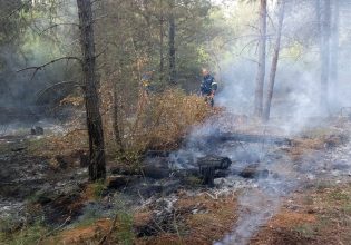 Θεσσαλονίκη: Πυρκαγιά στο Σέιχ Σου – Προσήχθη ύποπτος