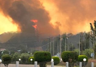 Φωτιά στην Ηλεία: Εκκενώνονται χωριά – Έκλεισε η νέα εθνική οδός Πατρών – Πύργου