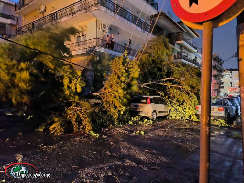 Πτώσεις δέντρων και προβλήματα από τους ανέμους στην Ημαθία – Δεκάδες κλήσεις στην Πυροσβεστική