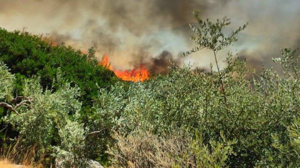 Φωτιά τώρα στη Σέριφο – Εκκενώνονται δύο περιοχές