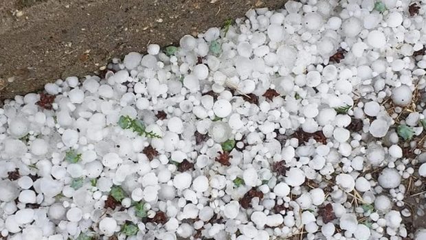 Evros: Hail the size of a walnut fell – damage to crops