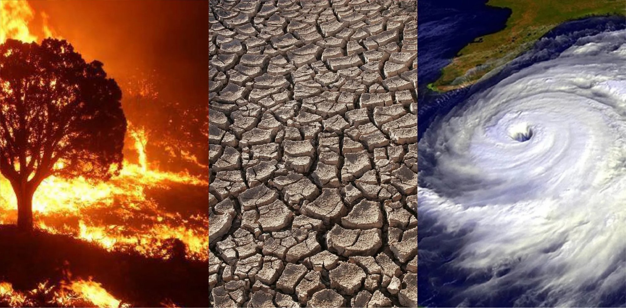 Η κλιματική κρίση αλλάζει τα δεδομένα - Ηχηρό καμπανάκι κινδύνου για τις φωτιές