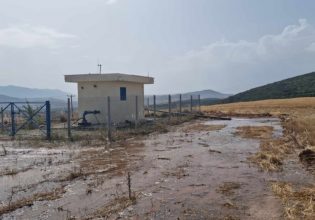 Μαγνησία: Εντοπίστηκε η πηγή που μολύνθηκε με σαλμονέλα – Σαρωτικοί έλεγχοι στις γεωτρήσεις όλης της Θεσσαλίας