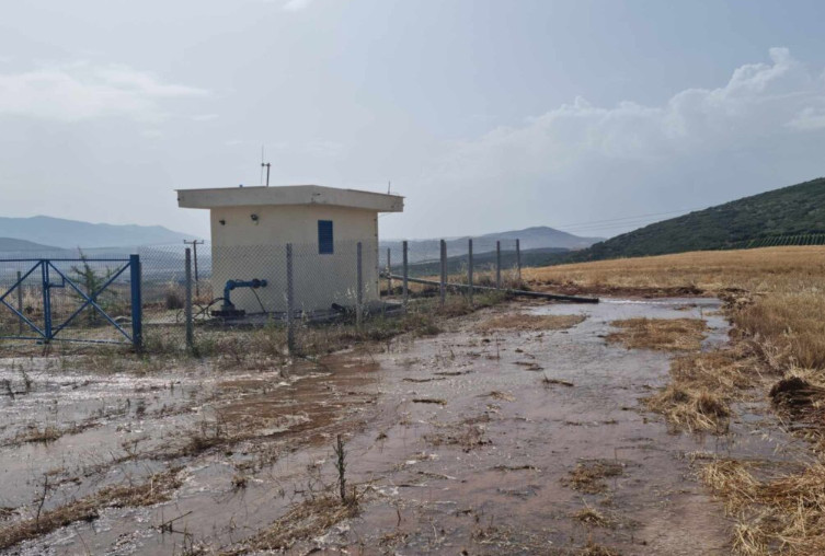 Μαγνησία: Εντοπίστηκε η πηγή που μολύνθηκε με σαλμονέλα – Σαρωτικοί έλεγχοι στις γεωτρήσεις όλης της Θεσσαλίας