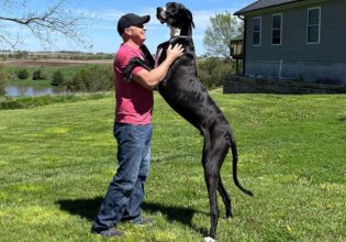 Αϊόβα: Αυτός είναι ο Κέβιν, ο πιο ψηλός σκύλος στον κόσμο (αστείο βίντεο)