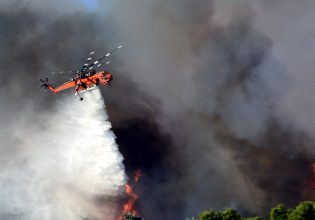 ΓΓΠΠ: Πολύ υψηλός κίνδυνος πυρκαγιάς σε Αττική και άλλες 7 περιοχές