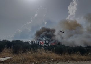 Φωτιά στο Ορθοβούνι Καλαμπάκας – Ήχησε το 112