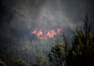 Φωτιά στο Ορθοβούνι Καλαμπάκας – Ήχησε το 112