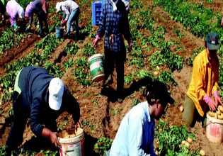 Υπουργείο Μετανάστευσης: Σε λειτουργία η πλατφόρμα για εργάτες γης από την Αίγυπτο