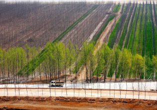 Μεγάλο Πράσινο Τείχος: Μέσα σε ένα χρόνο η Κίνα φύτεψε 27 εκατ. στρέμματα δασών και λιβαδιών