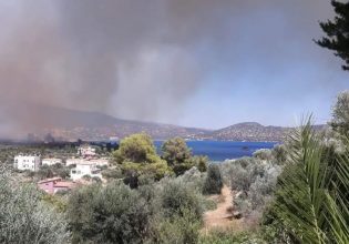 Φωτιά στο Κρανίδι: Καίγονται σπίτια – Εκκένωση προς Πόρτο Χέλι και Ερμιόνη